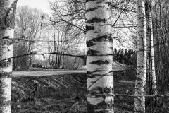 20120430-IMG_7892
