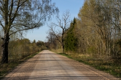 20120430-IMG_7931