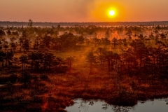 IMG_2155-Edit-Edit-1