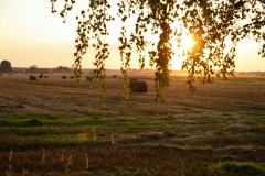 ©IvarsKukainis