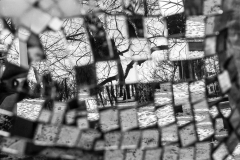 ©IvarsKukainis