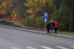 ©IvarsKukainis
