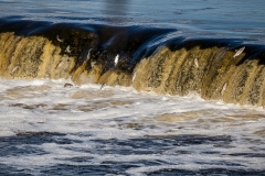 ©IvarsKukainis