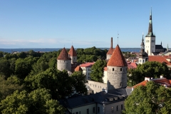 ©IvarsKukainis