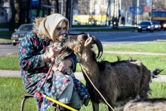 ©IvarsKukainis